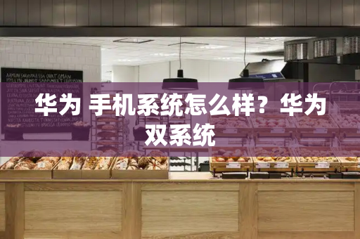 华为 手机系统怎么样？华为双系统-第1张图片-星选测评