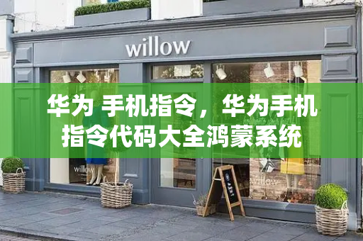 华为 手机指令，华为手机指令代码大全鸿蒙系统-第1张图片-星选测评