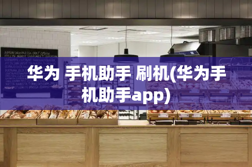 华为 手机助手 刷机(华为手机助手app)-第1张图片-星选测评