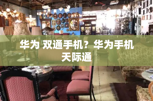 华为 双通手机？华为手机天际通-第1张图片-星选测评