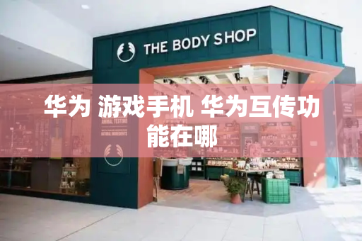 华为 游戏手机 华为互传功能在哪-第1张图片-星选测评