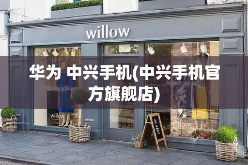 华为 中兴手机(中兴手机官方旗舰店)-第1张图片-星选测评