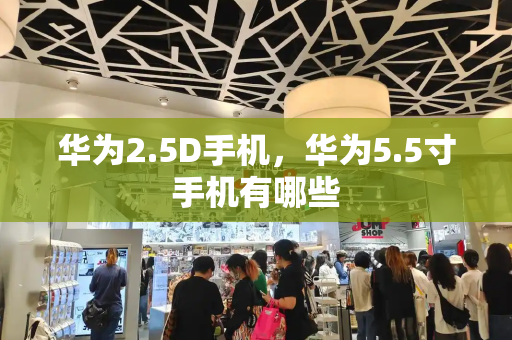 华为2.5D手机，华为5.5寸手机有哪些-第1张图片-星选测评