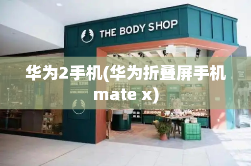 华为2手机(华为折叠屏手机mate x)