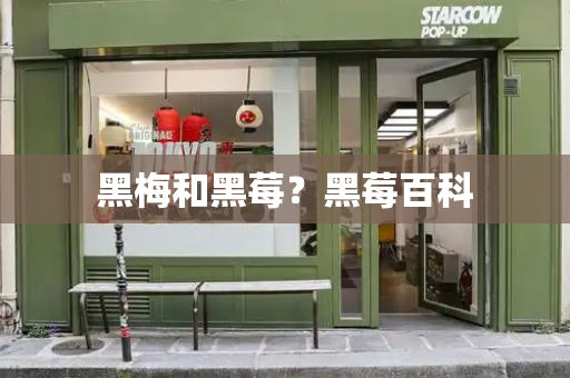黑梅和黑莓？黑莓百科