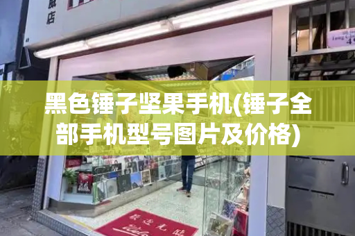 黑色锤子坚果手机(锤子全部手机型号图片及价格)