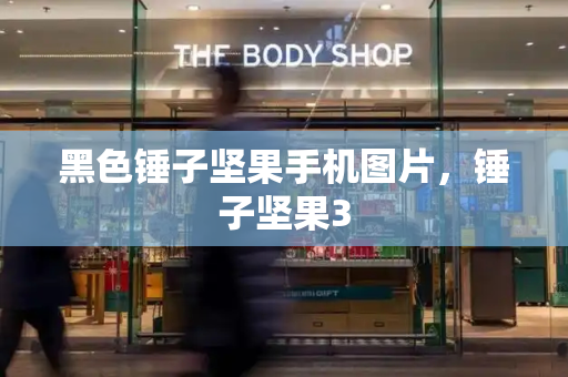 黑色锤子坚果手机图片，锤子坚果3