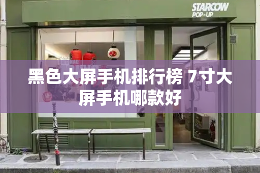 黑色大屏手机排行榜 7寸大屏手机哪款好-第1张图片-星选测评