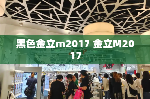 黑色金立m2017 金立M2017-第1张图片-星选测评