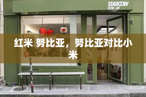 红米 努比亚，努比亚对比小米