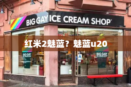 红米2魅蓝？魅蓝u20-第1张图片-星选测评