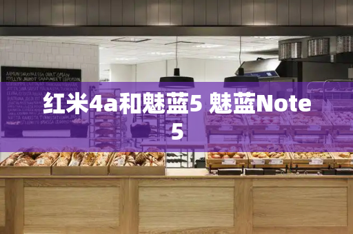 红米4a和魅蓝5 魅蓝Note5-第1张图片-星选测评