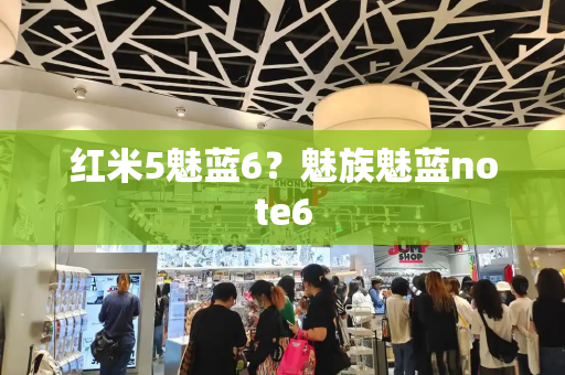 红米5魅蓝6？魅族魅蓝note6-第1张图片-星选测评