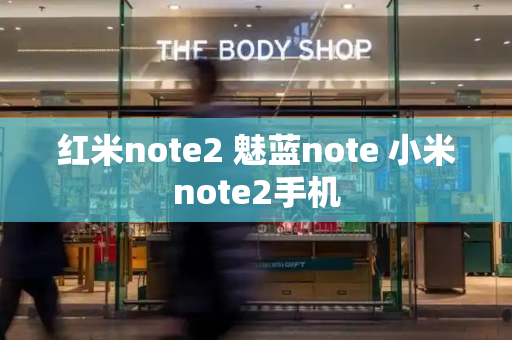 红米note2 魅蓝note 小米note2手机-第1张图片-星选测评