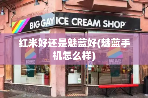 红米好还是魅蓝好(魅蓝手机怎么样)-第1张图片-星选测评