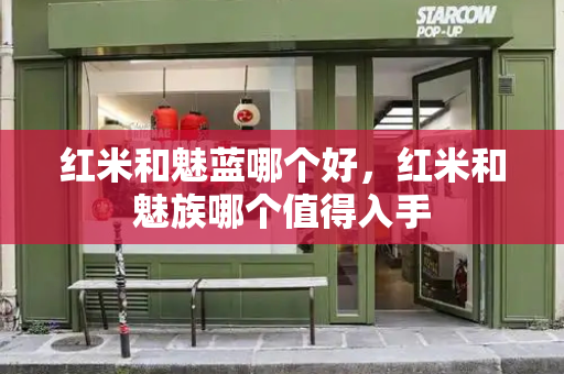 红米和魅蓝哪个好，红米和魅族哪个值得入手-第1张图片-星选测评