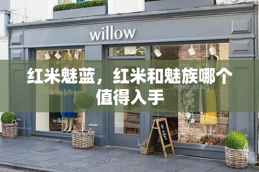 红米魅蓝，红米和魅族哪个值得入手-第1张图片-星选测评