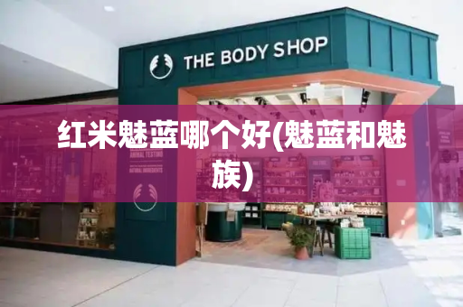 红米魅蓝哪个好(魅蓝和魅族)