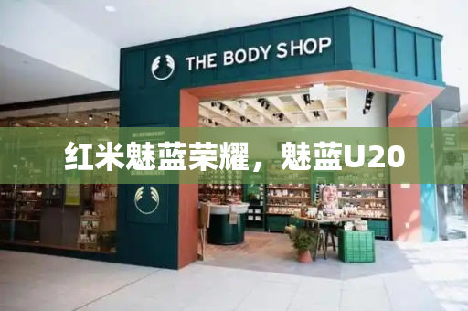 红米魅蓝荣耀，魅蓝U20