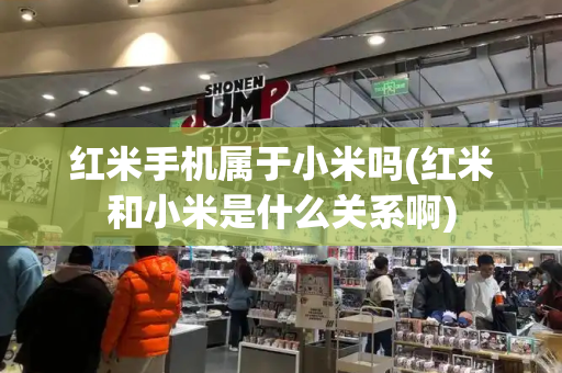 红米手机属于小米吗(红米和小米是什么关系啊)-第1张图片-星选测评