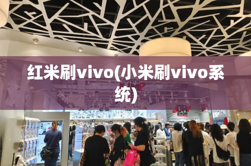 红米刷vivo(小米刷vivo系统)