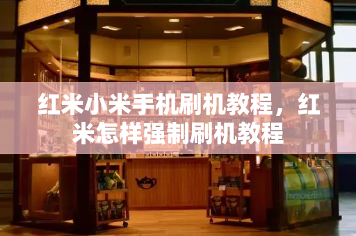 红米小米手机刷机教程，红米怎样强制刷机教程-第1张图片-星选测评