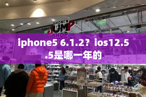 iphone5 6.1.2？ios12.5.5是哪一年的