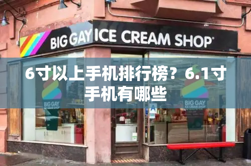 6寸以上手机排行榜？6.1寸手机有哪些-第1张图片-星选测评