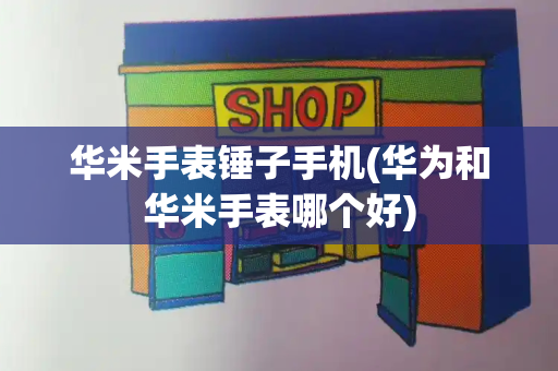 华米手表锤子手机(华为和华米手表哪个好)-第1张图片-星选测评