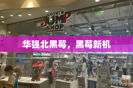 华强北黑莓，黑莓新机