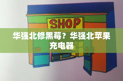 华强北修黑莓？华强北苹果充电器-第1张图片-星选测评