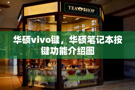 华硕vivo键，华硕笔记本按键功能介绍图