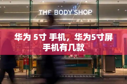 华为 5寸 手机，华为5寸屏手机有几款