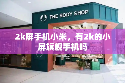 2k屏手机小米，有2k的小屏旗舰手机吗