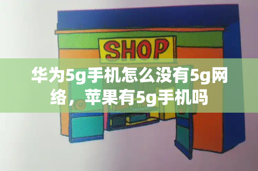 华为5g手机怎么没有5g网络，苹果有5g手机吗-第1张图片-星选测评