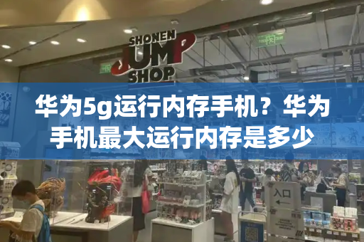 华为5g运行内存手机？华为手机最大运行内存是多少-第1张图片-星选测评