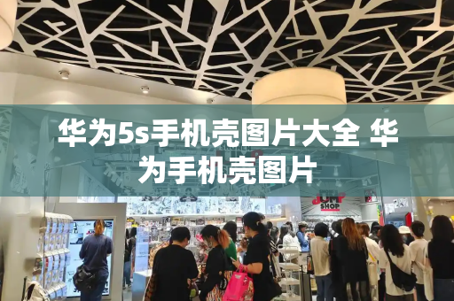 华为5s手机壳图片大全 华为手机壳图片