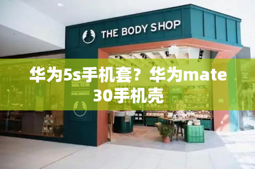 华为5s手机套？华为mate30手机壳-第1张图片-星选测评