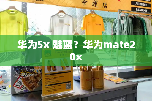 华为5x 魅蓝？华为mate20x-第1张图片-星选测评