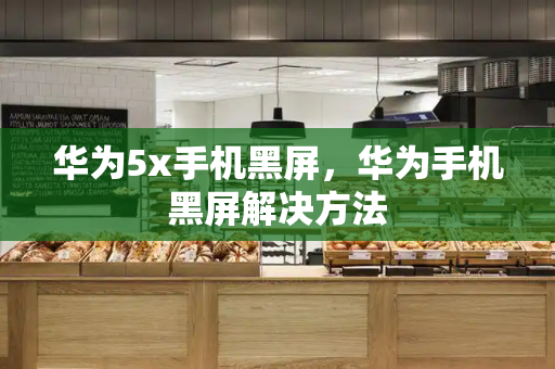 华为5x手机黑屏，华为手机黑屏解决方法-第1张图片-星选测评