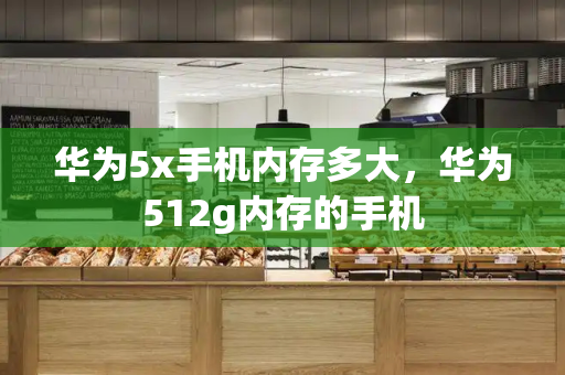 华为5x手机内存多大，华为512g内存的手机