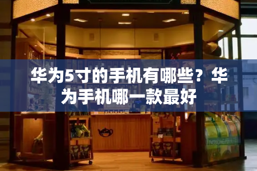 华为5寸的手机有哪些？华为手机哪一款最好