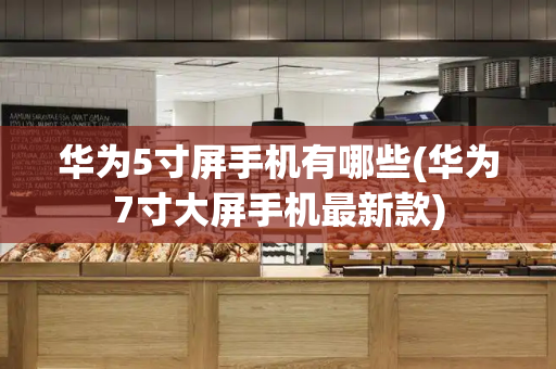 华为5寸屏手机有哪些(华为7寸大屏手机最新款)-第1张图片-星选测评