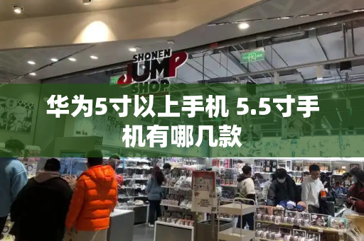 华为5寸以上手机 5.5寸手机有哪几款-第1张图片-星选测评