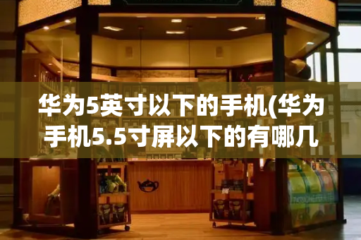 华为5英寸以下的手机(华为手机5.5寸屏以下的有哪几款)-第1张图片-星选测评