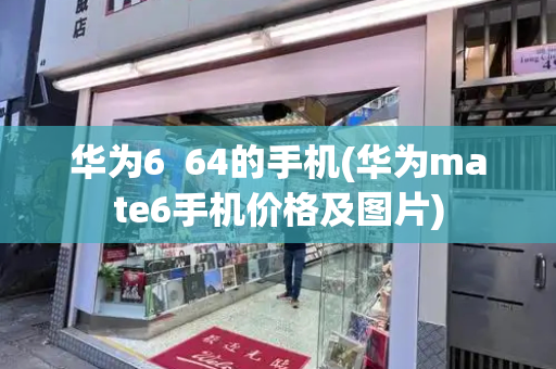 华为6  64的手机(华为mate6手机价格及图片)