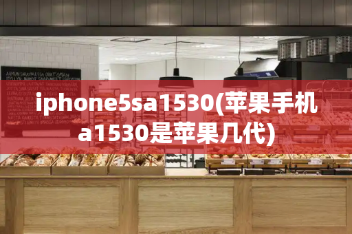 iphone5sa1530(苹果手机a1530是苹果几代)-第1张图片-星选测评
