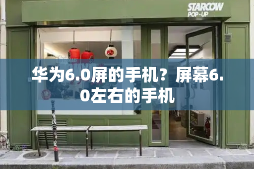 华为6.0屏的手机？屏幕6.0左右的手机-第1张图片-星选测评