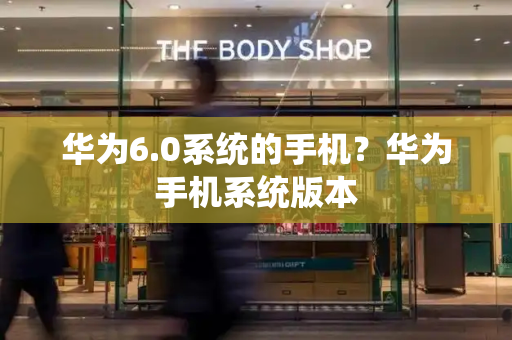 华为6.0系统的手机？华为手机系统版本-第1张图片-星选测评