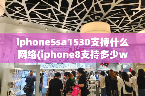 iphone5sa1530支持什么网络(iphone8支持多少w快充)